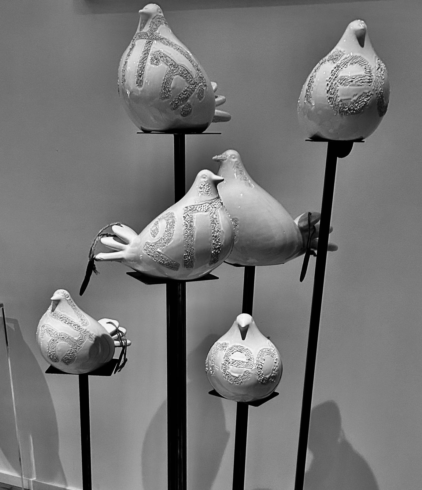 WhatsApp Image 2025-12-01 at 16.53.36